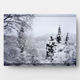 Placa Expositora Plaque fotográfico del lago Nojiri