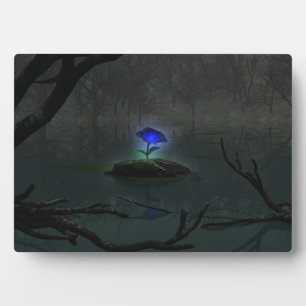 Placa Expositora Plaque fotográfico Rosa azul