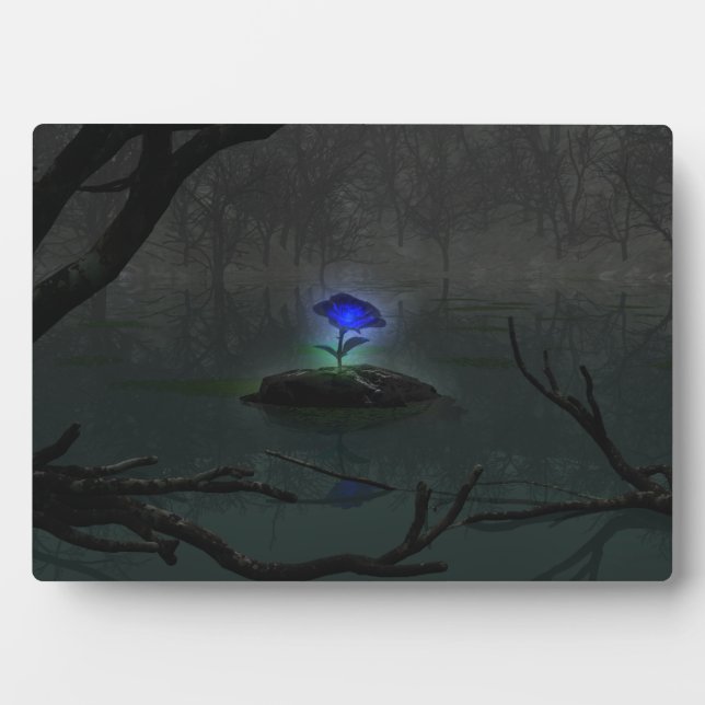 Placa Expositora Plaque fotográfico Rosa azul (Frente)