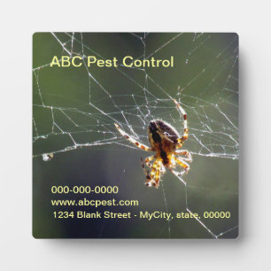 Placa Expositora Plaque - Spider