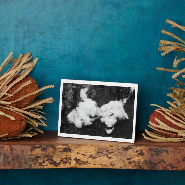 Placa Expositora plaqueta de abajo (Lado)