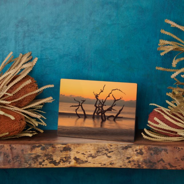 Placa Expositora Playa de Driftwood en Sunrise Jekyll Island Georgi (Lado)