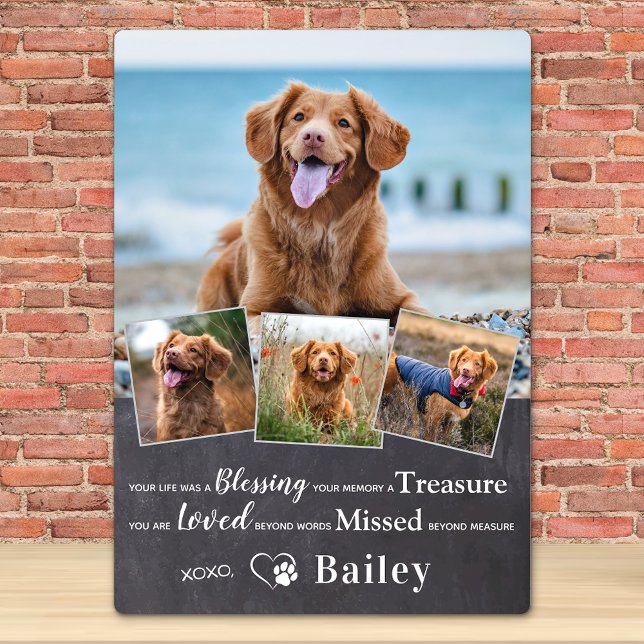 Placa Expositora Poema conmemorativo de la pérdida del perro, recue (Subido por el creador)