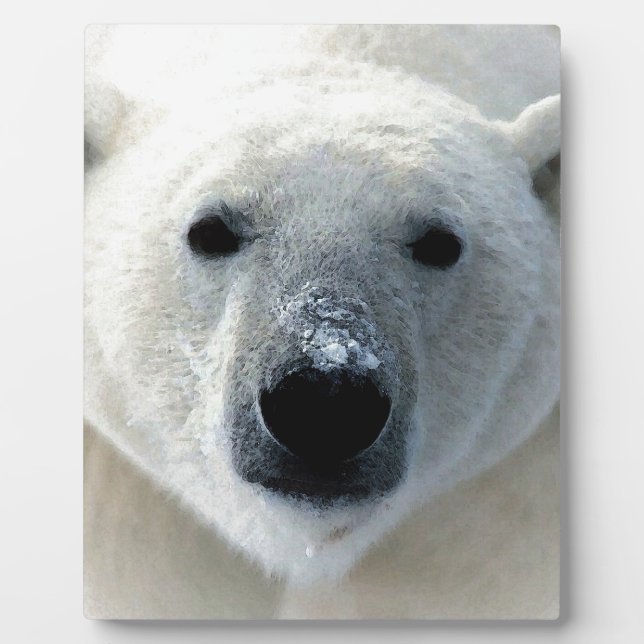 Placa Expositora Polar Bear (Frente)