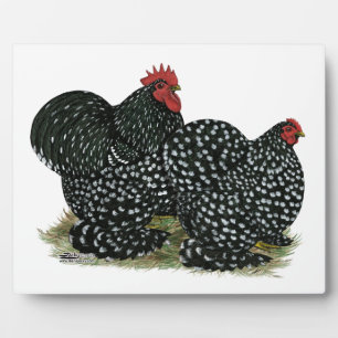 Placa Expositora Pollos con motor Cochin