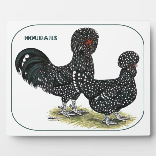 Placa Expositora Pollos de Houdan (Frente)