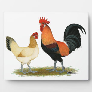 Placa Expositora Pollos de Penedesenca