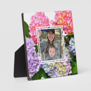 Placa Expositora Polvorientos hortensias florales verdes de color a