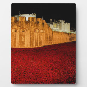 Placa Expositora Poppies en la Torre de Londres - Panorama nocturno
