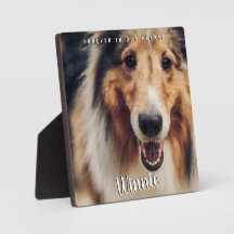 Por Siempre En Nuestro Corazón Mascota De Fotograf