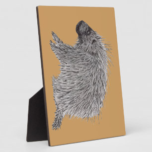 Placa Expositora Porcupina