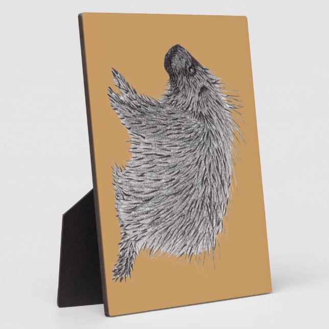 Placa Expositora Porcupina (Lado)