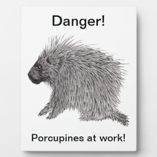 Placa Expositora Porcupina
