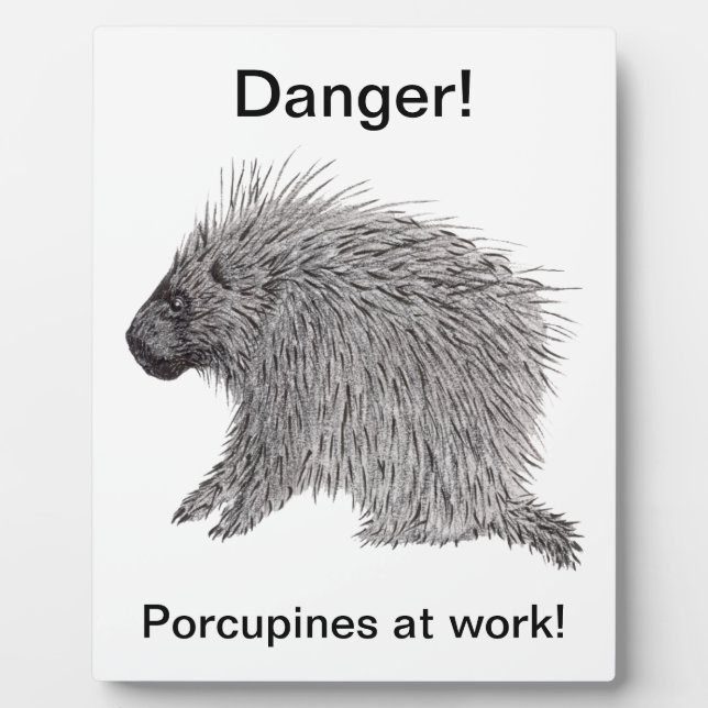 Placa Expositora Porcupina (Frente)