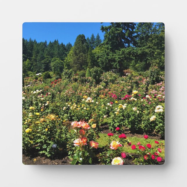 Placa Expositora Portland Rosa Garden, OR (Frente)