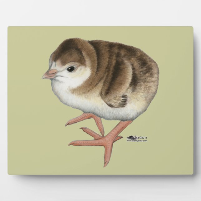 Placa Expositora Poult turca roja borbónica (Frente)