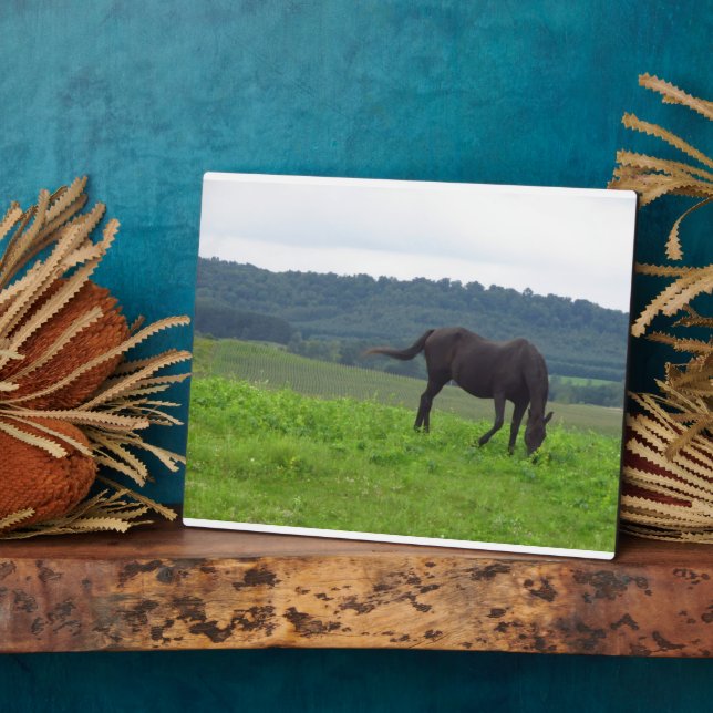 Placa Expositora Pradera de la plaza del amor (Lado)