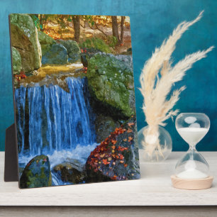 Placa Expositora Primavera de agua azul