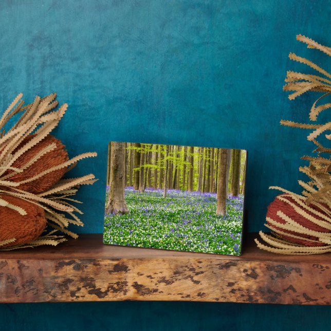 Placa Expositora Primavera en el bosque azul (Lado)