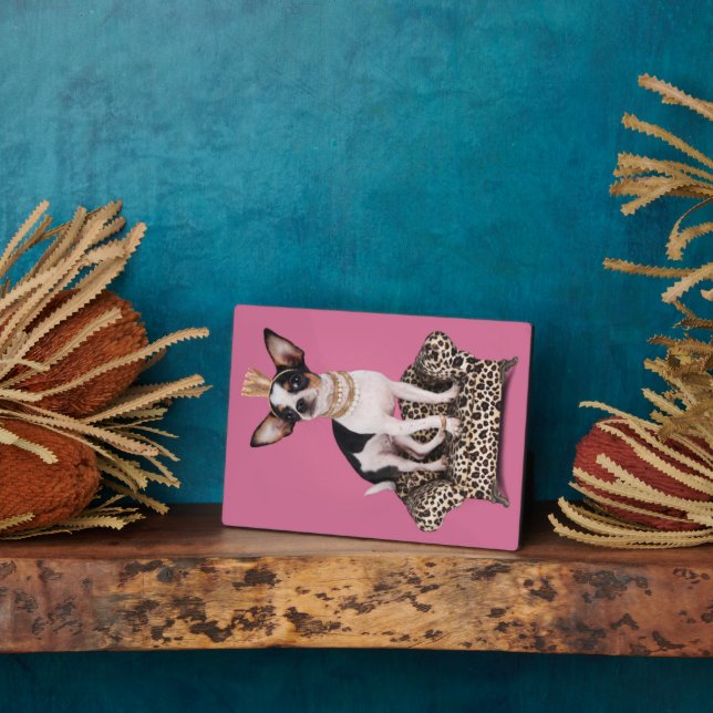 Placa Expositora Princesa de Chihuahua (Lado)