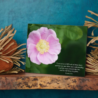 Placa Expositora Proverbios 3:5-6 Biblia cristiana versus Flor rosa