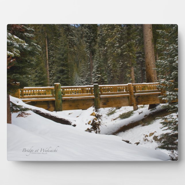 Placa Expositora Puente en Wuksachi (Frente)