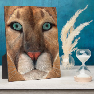 Placa Expositora Puma