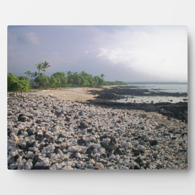Placa Expositora Punalu'u Black Sand Beach Hawaii Big Island (Frente)