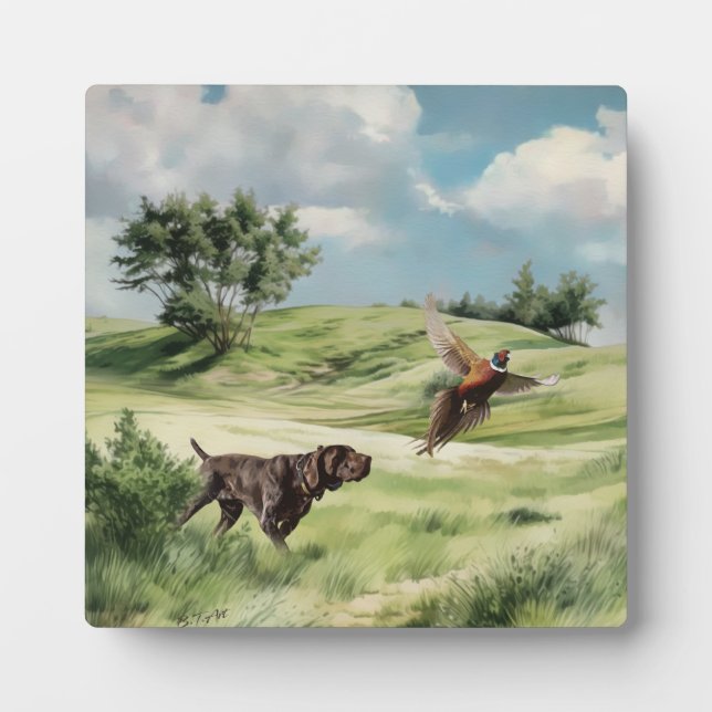 Placa Expositora Puntero alemán de cortometraje apuntando a un fais (Frente)