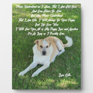 Placa Expositora Puppy Love