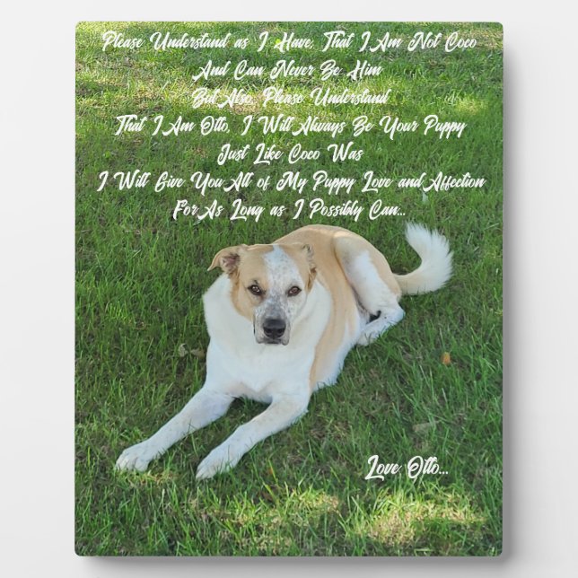 Placa Expositora Puppy Love (Frente)