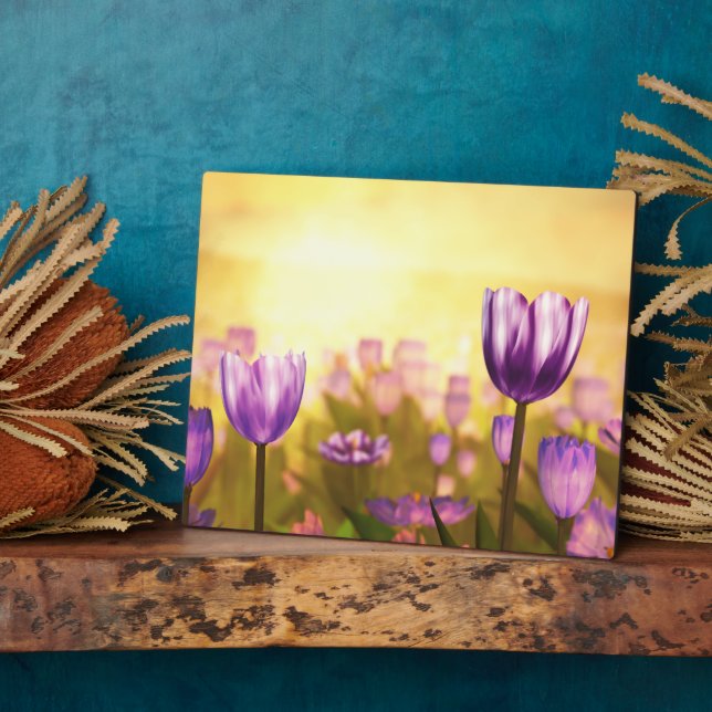 Placa Expositora Purple Jubilee Plaque (Lado)