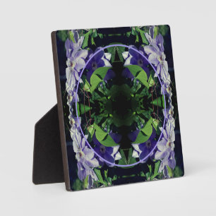 Placa Expositora Púrpura Clematis En La Verja Añadir La Foto