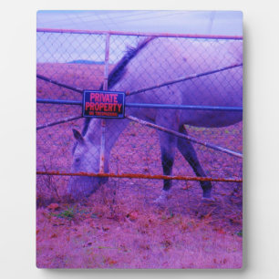 Placa Expositora Púrpura propiedad privada caballo