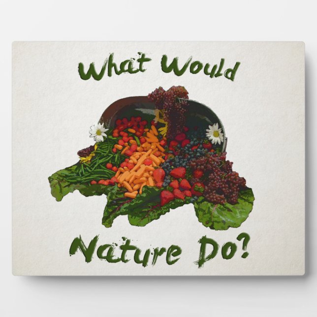 Placa Expositora ¿Qué haría la naturaleza? (Frente)
