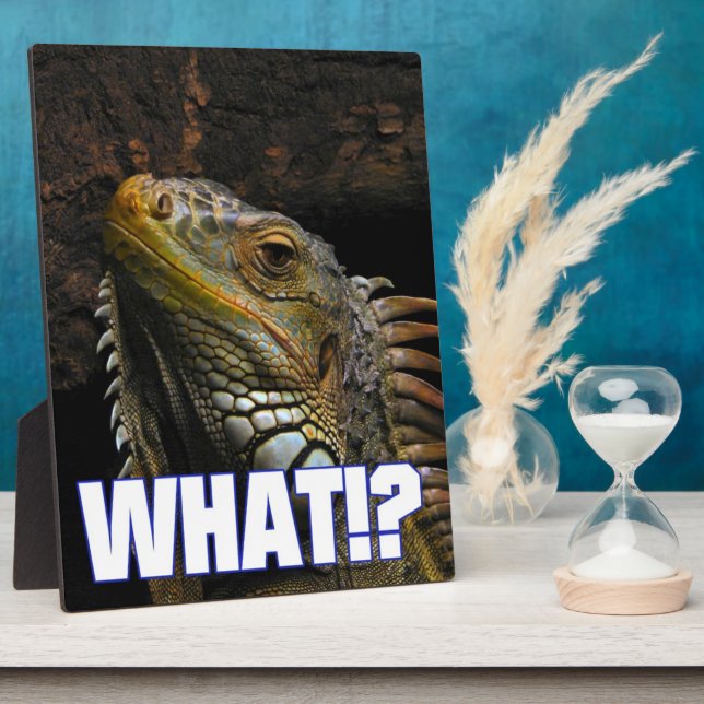 Placa Expositora ¿¡Qué!? Iguana (Lado)