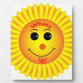 Placa Expositora ¡Qué pasa!