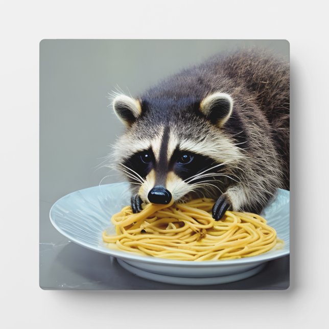 Placa Expositora Raccoon Eating Spaghetti (Frente)