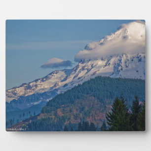 Placa Expositora Rainier P5002