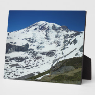 Placa Expositora Rainier P555