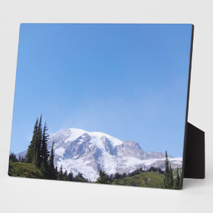 Placa Expositora Rainier PDSC213