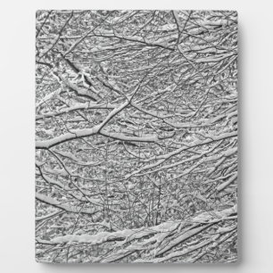 Placa Expositora Ramas de nieve