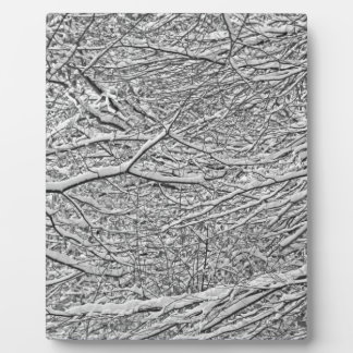 Placa Expositora Ramas de nieve