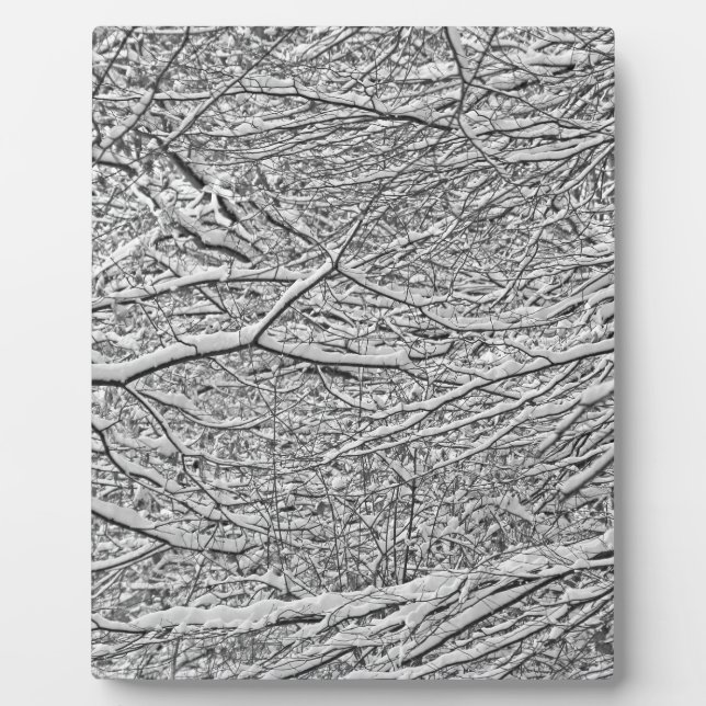 Placa Expositora Ramas de nieve (Frente)