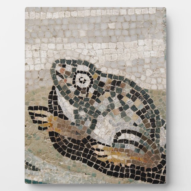 Placa Expositora Rana, mosaico del Nilo, de la Casa del Fauno (Frente)