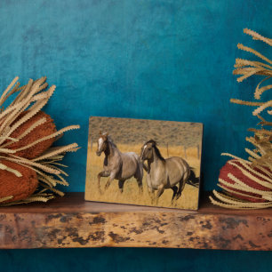 Placa Expositora Ranch Living in the Ponderosa Ranch