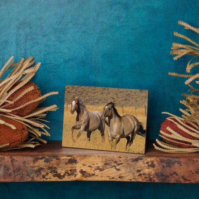 Placa Expositora Ranch Living in the Ponderosa Ranch (Lado)