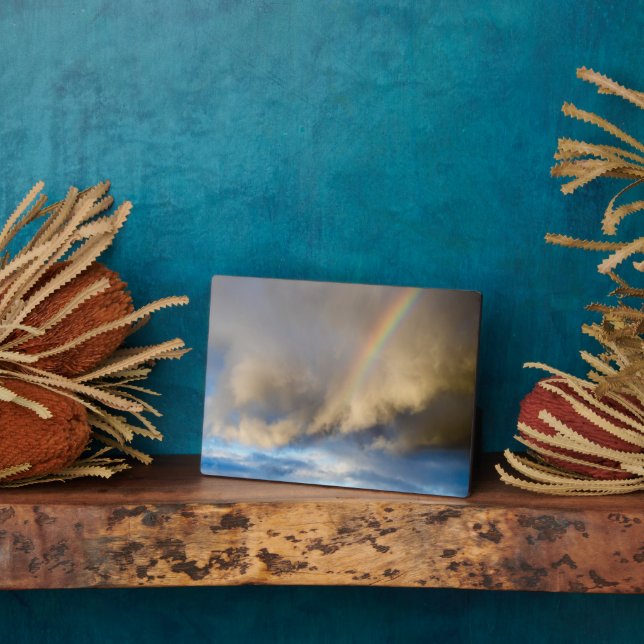 Placa Expositora rebelión arco iris (Lado)