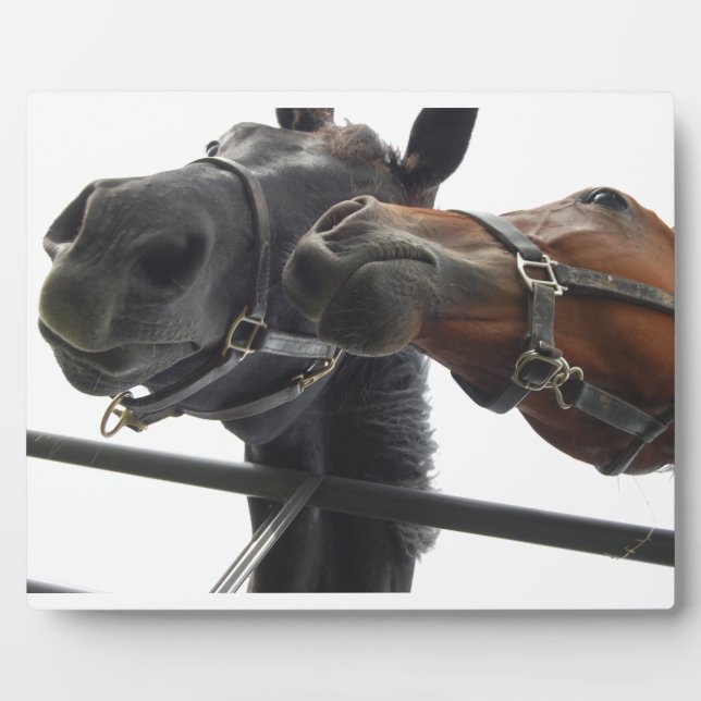 Placa Expositora Recorriendo (Frente)