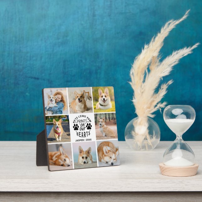 Placa Expositora Recuerdo conmemorativo a los Mascotas de Collage d (in situ)